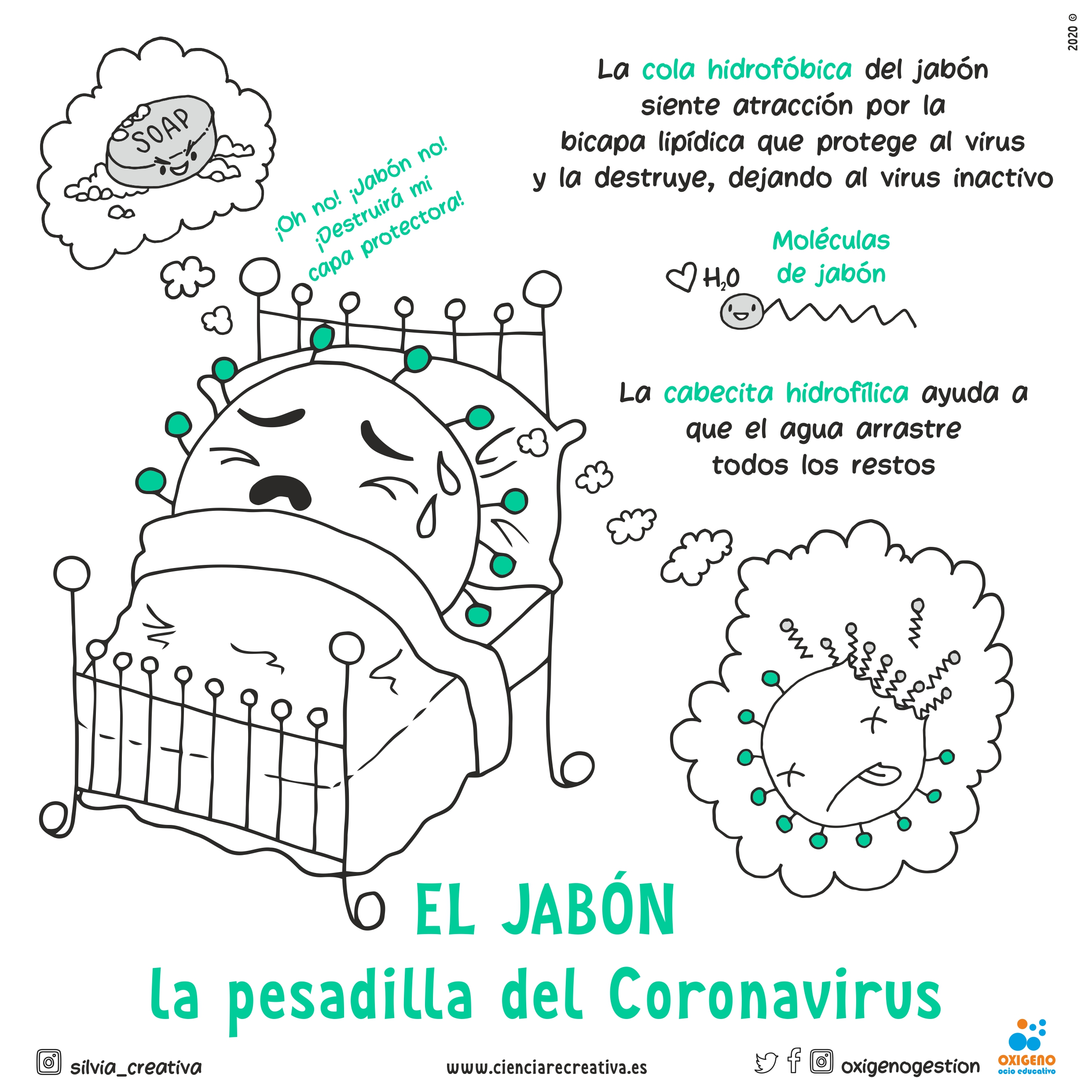 mundo microscopico 05 ciencia recreativa jabon coronavirus